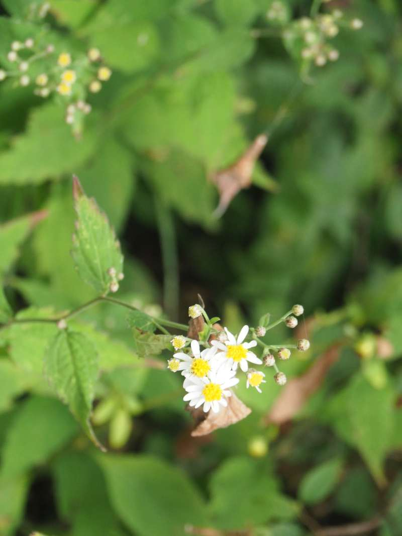 P9212164