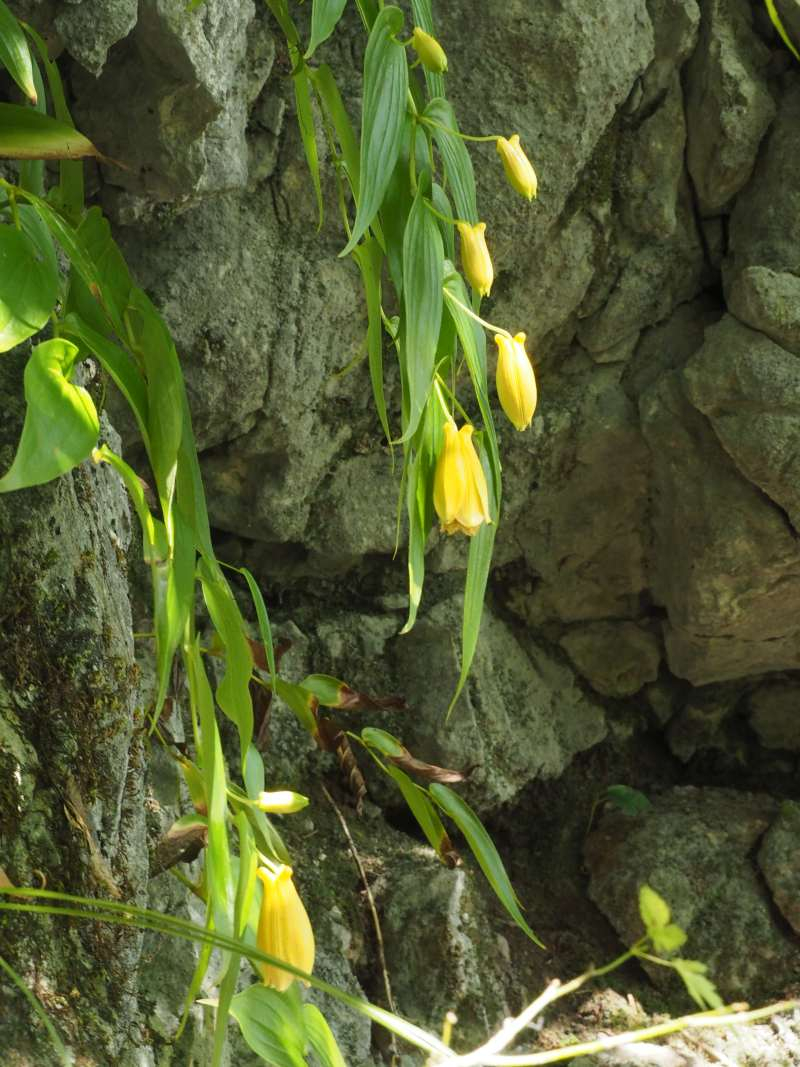 Pa012854