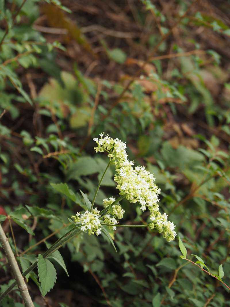 P9212177