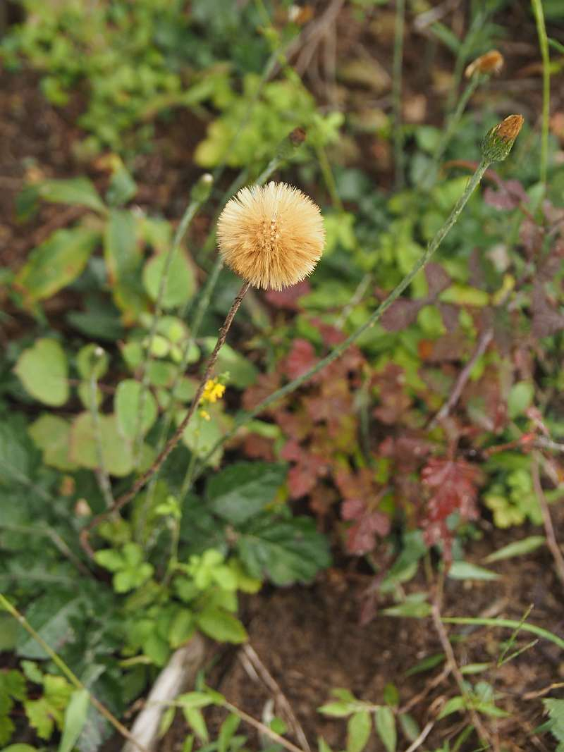 P9212184