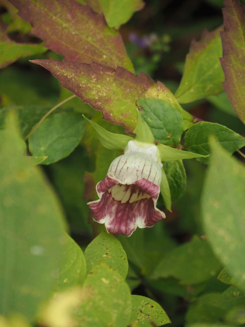 P9212195