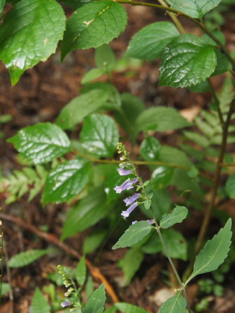P9212208