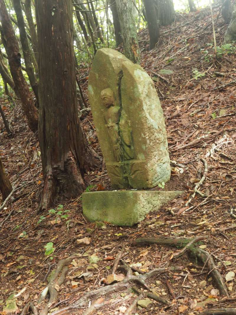 P9212211