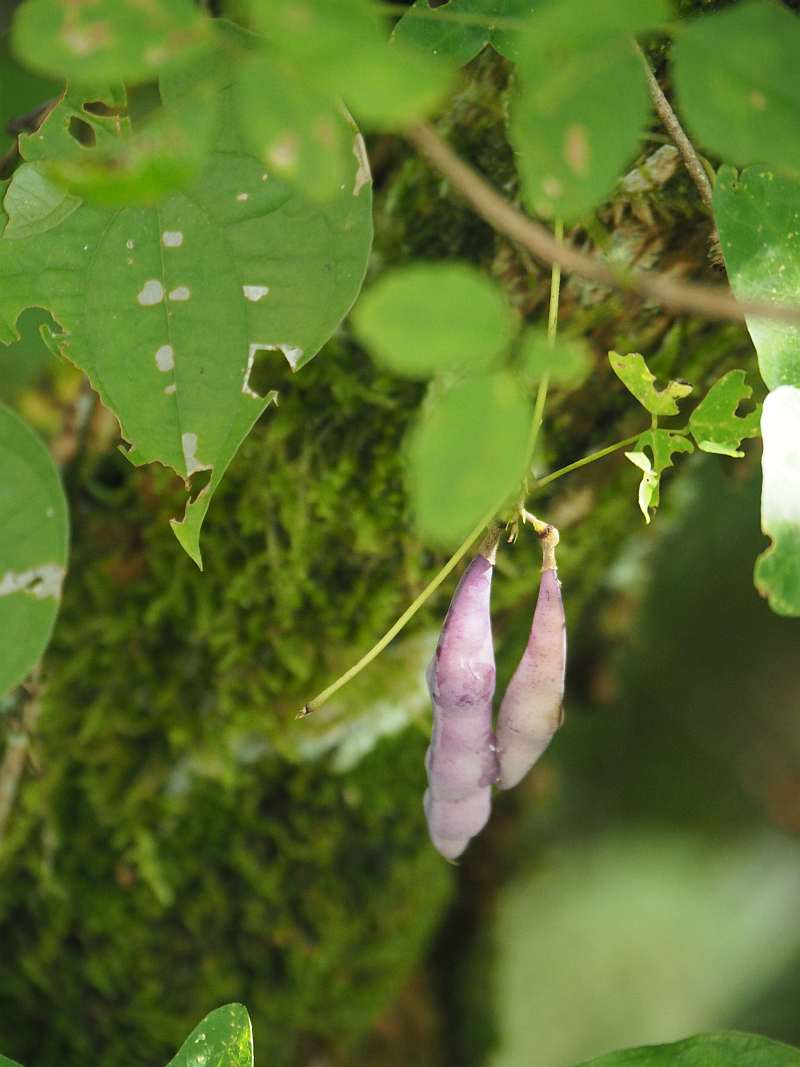 P9212237