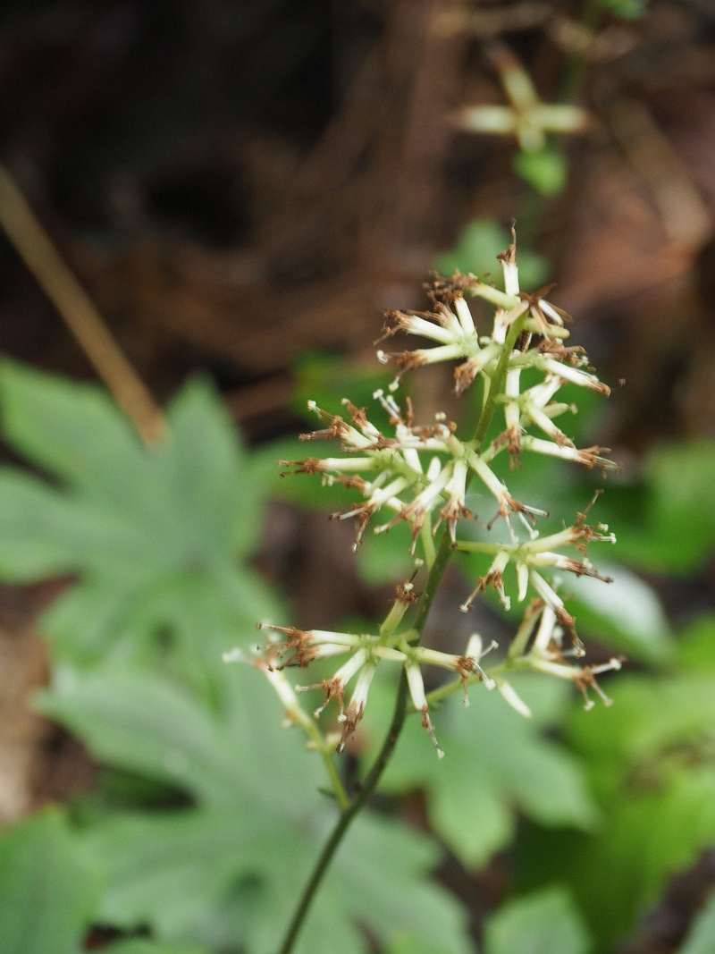 P9212273