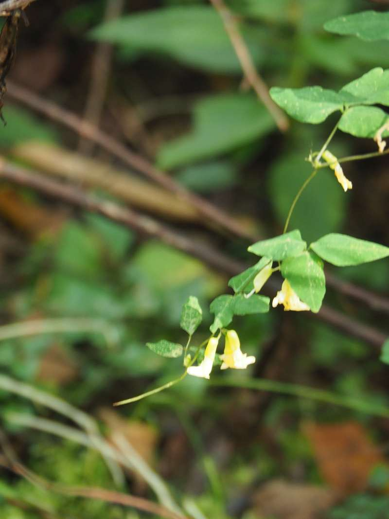 P9212285