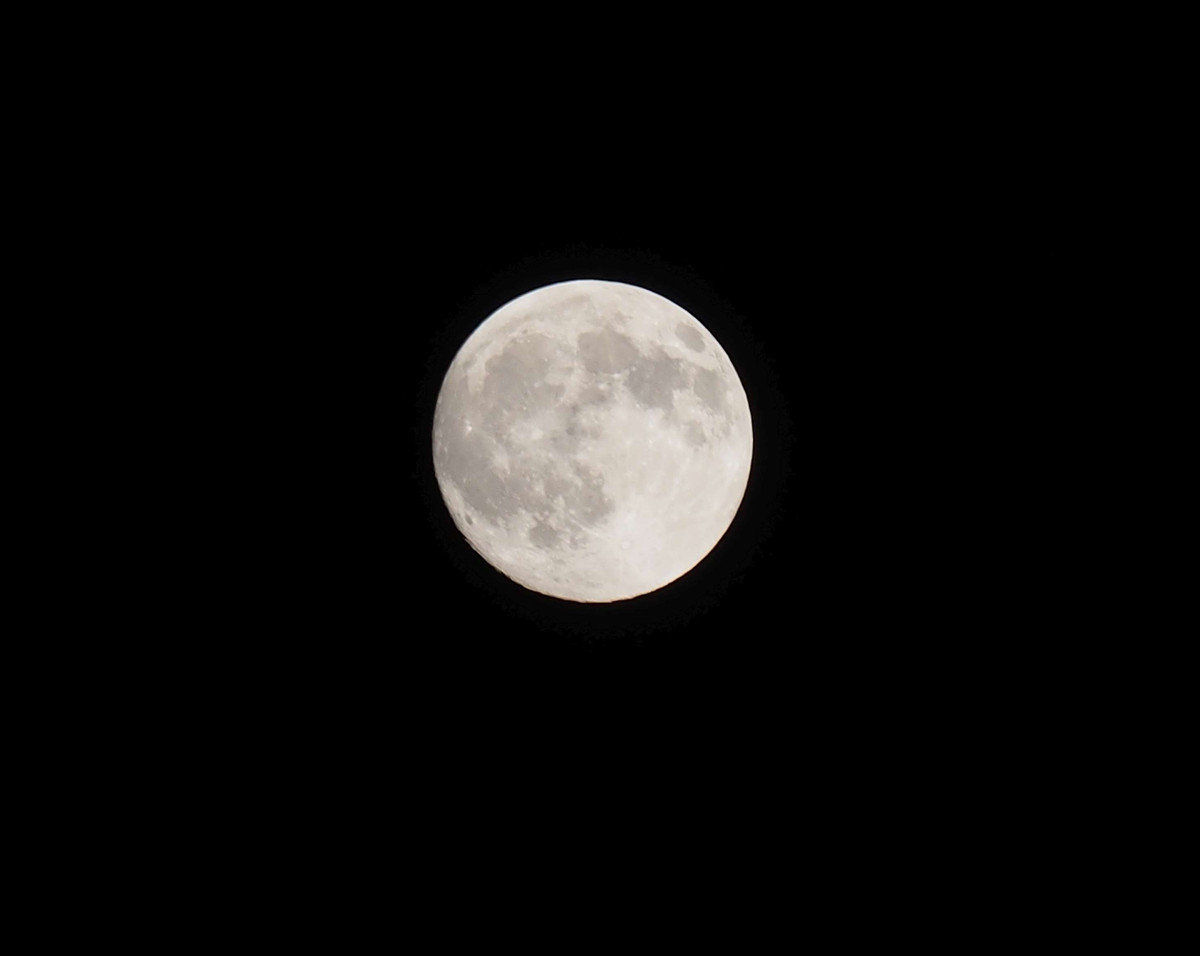 Pa063074
