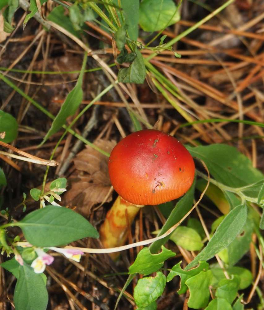 P9212305