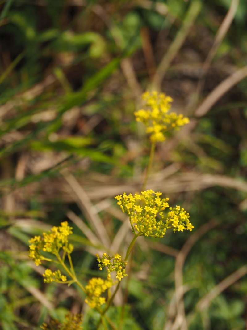 P9212321