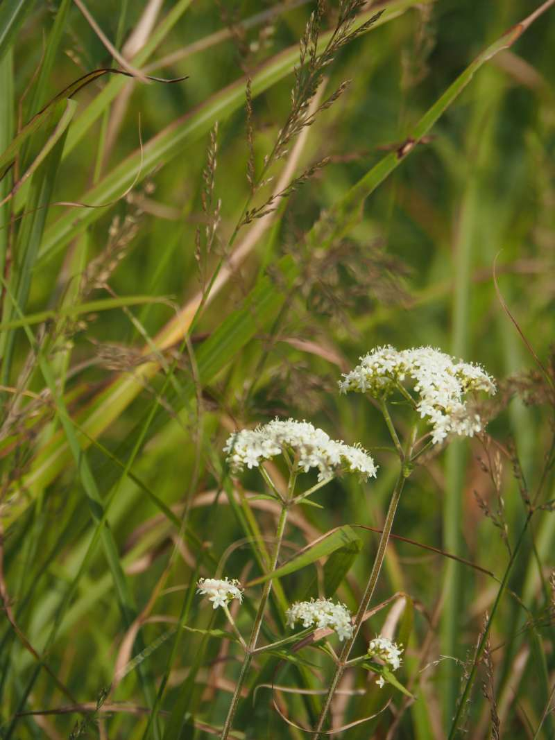 P9212324