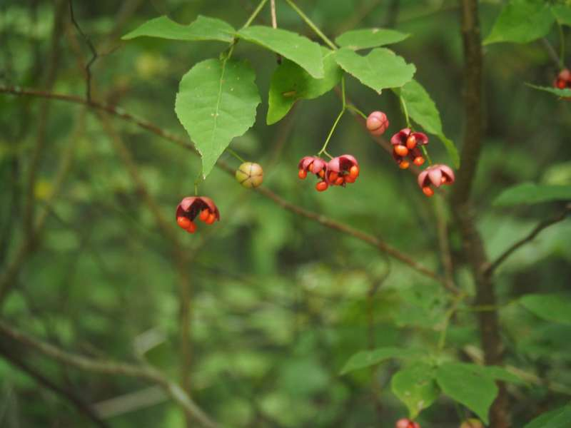 P9212325