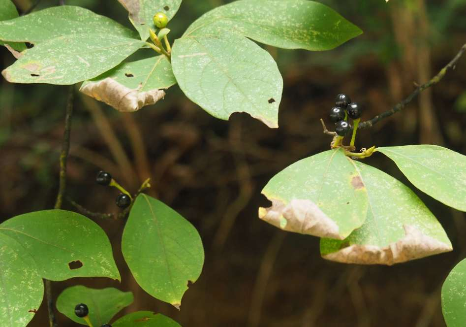 P9212331