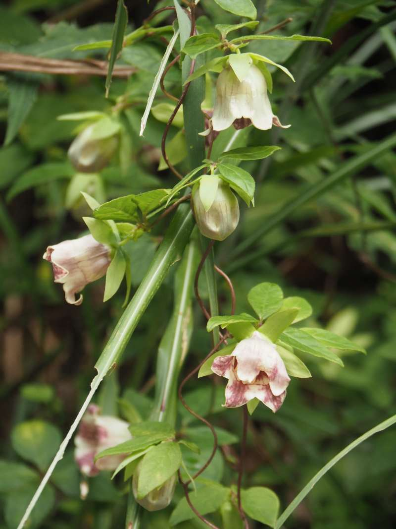P9212335