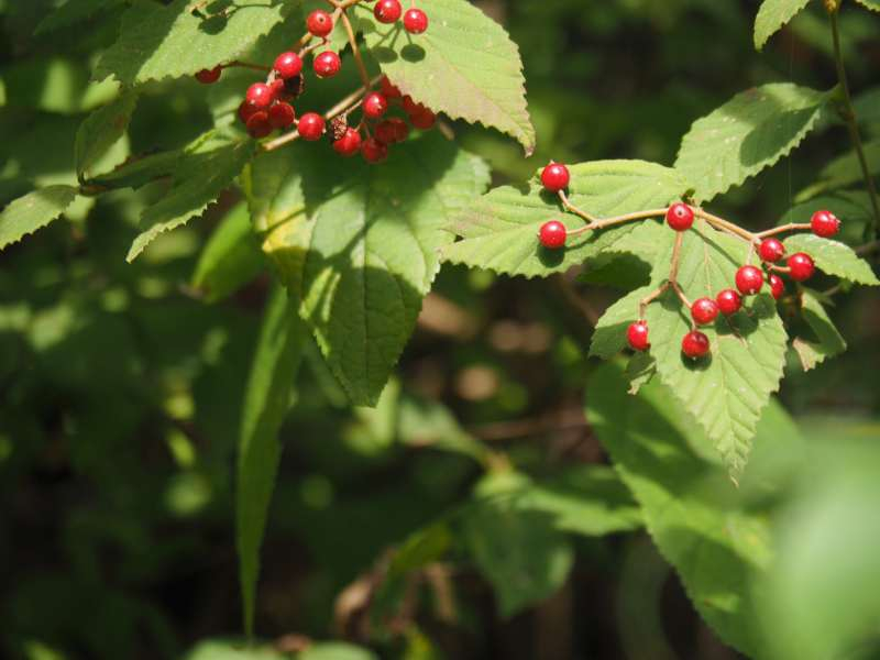 P9212360