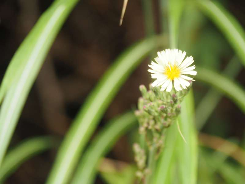 P9212363