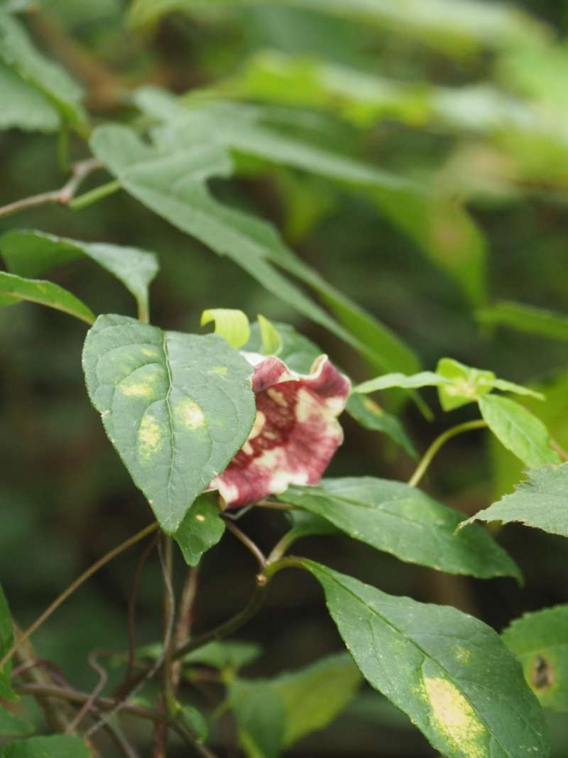 P9212367