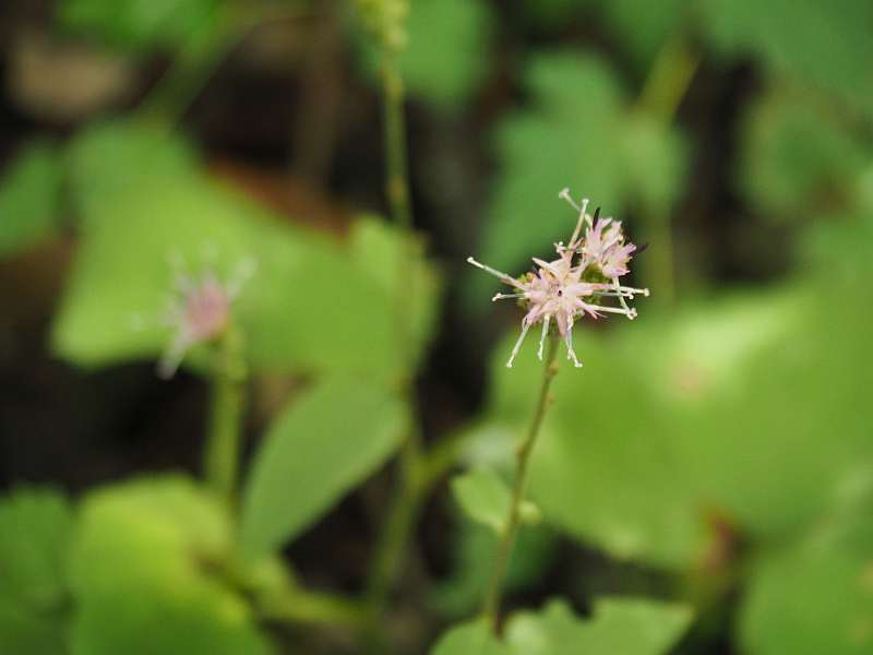 P9212231