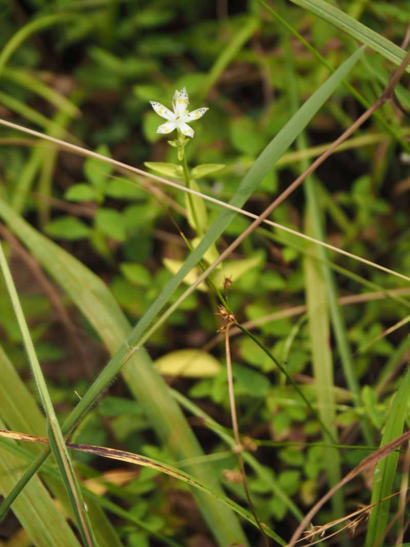 P9212355