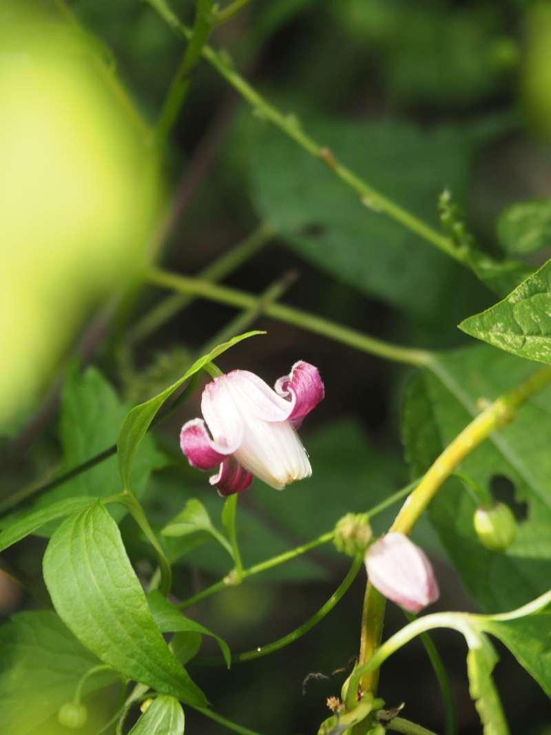 P9212372
