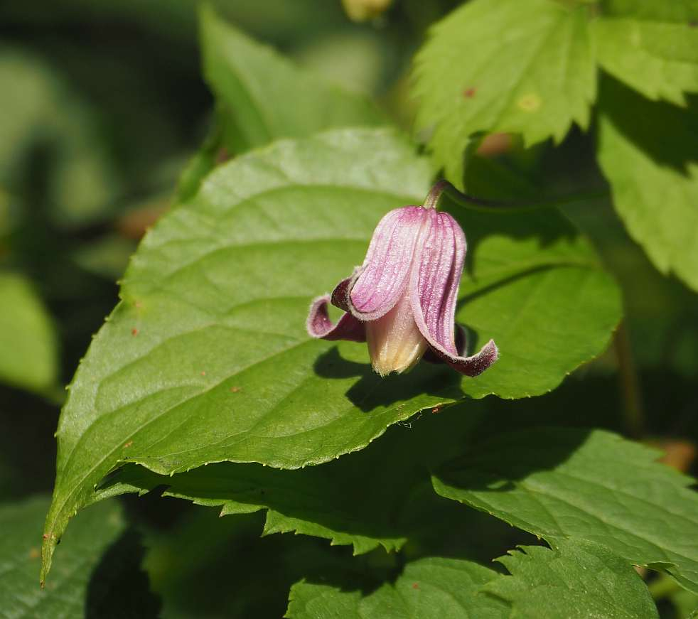 P9212379
