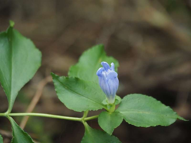 P9272526