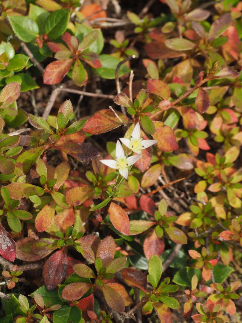 P9272625