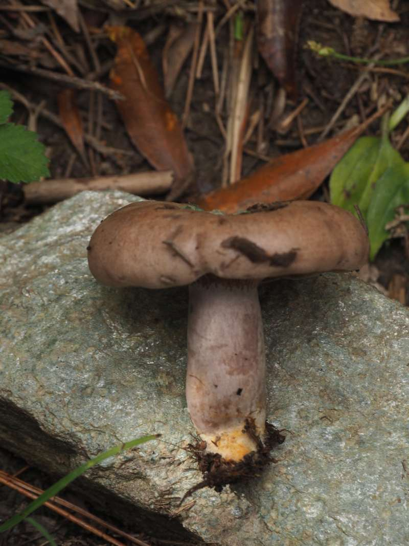 P9272627