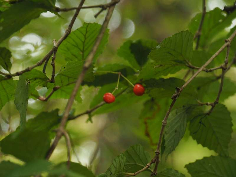 P9272632