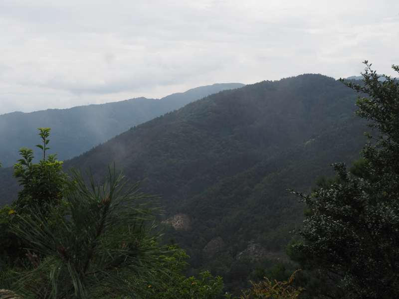 P9272638