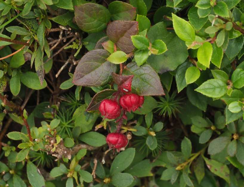P9272645