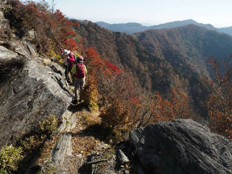 1763644781538 1763644781538