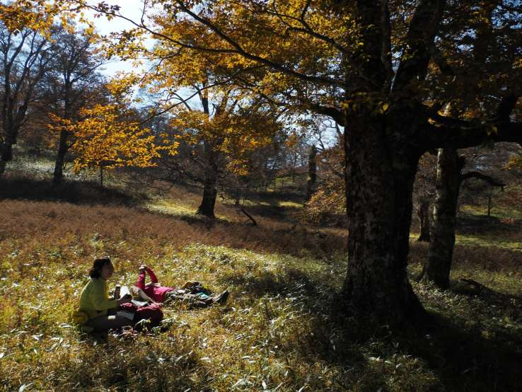 1763644822766 1763644822766