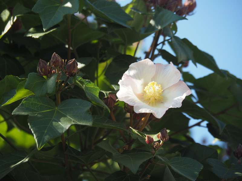 Pb234830_2 Pb234830_2