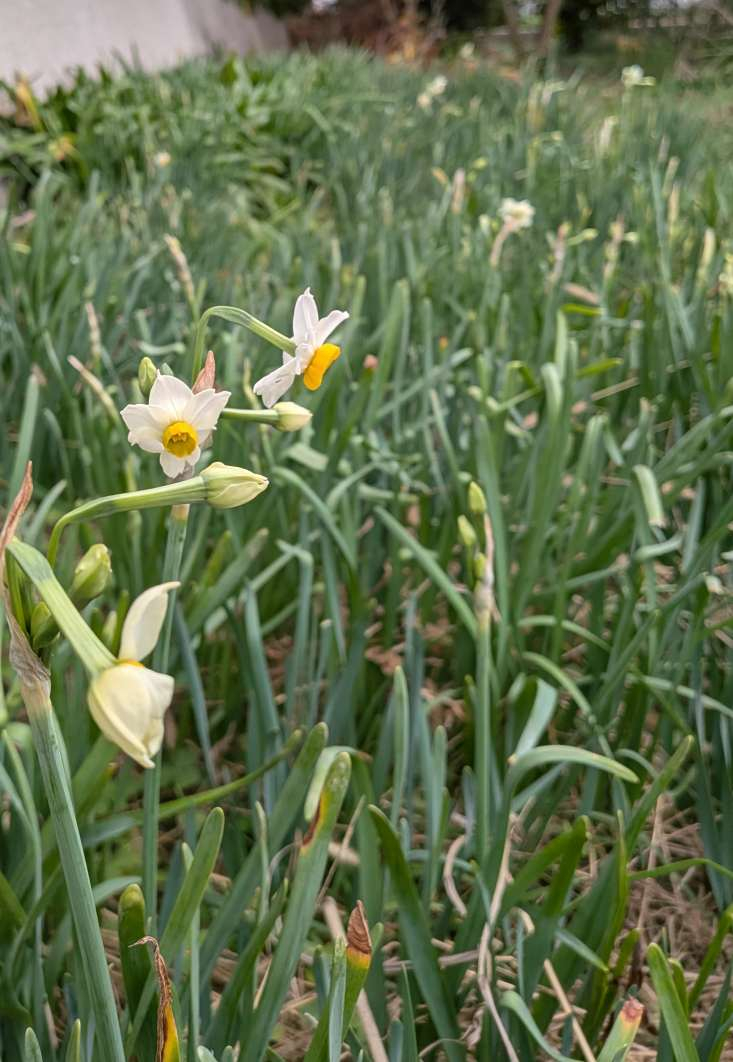 Pxl_20251208_071048123