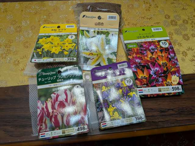 Pxl_20251213_112937223_2 Pxl_20251213_112937223_2