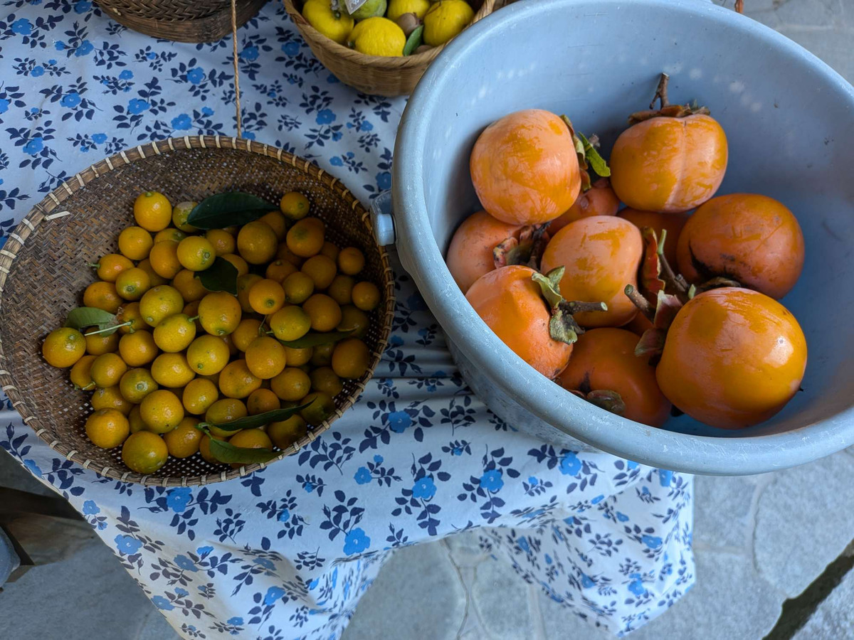 Pxl_20251216_011225646_2