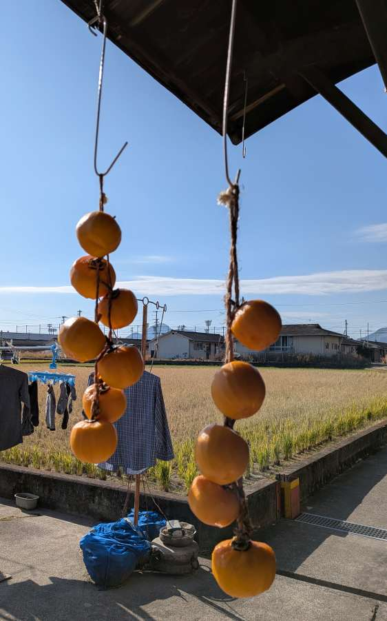 Pxl_20251216_021707095mp