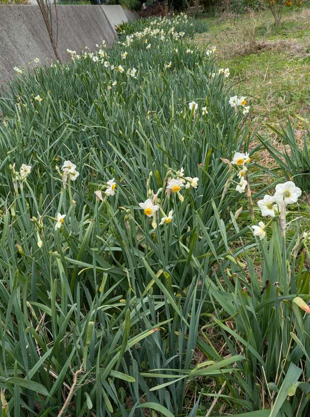 Pxl_20251217_024136840