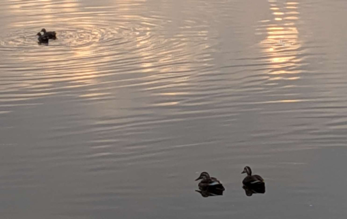 Pxl_20251220_072215829