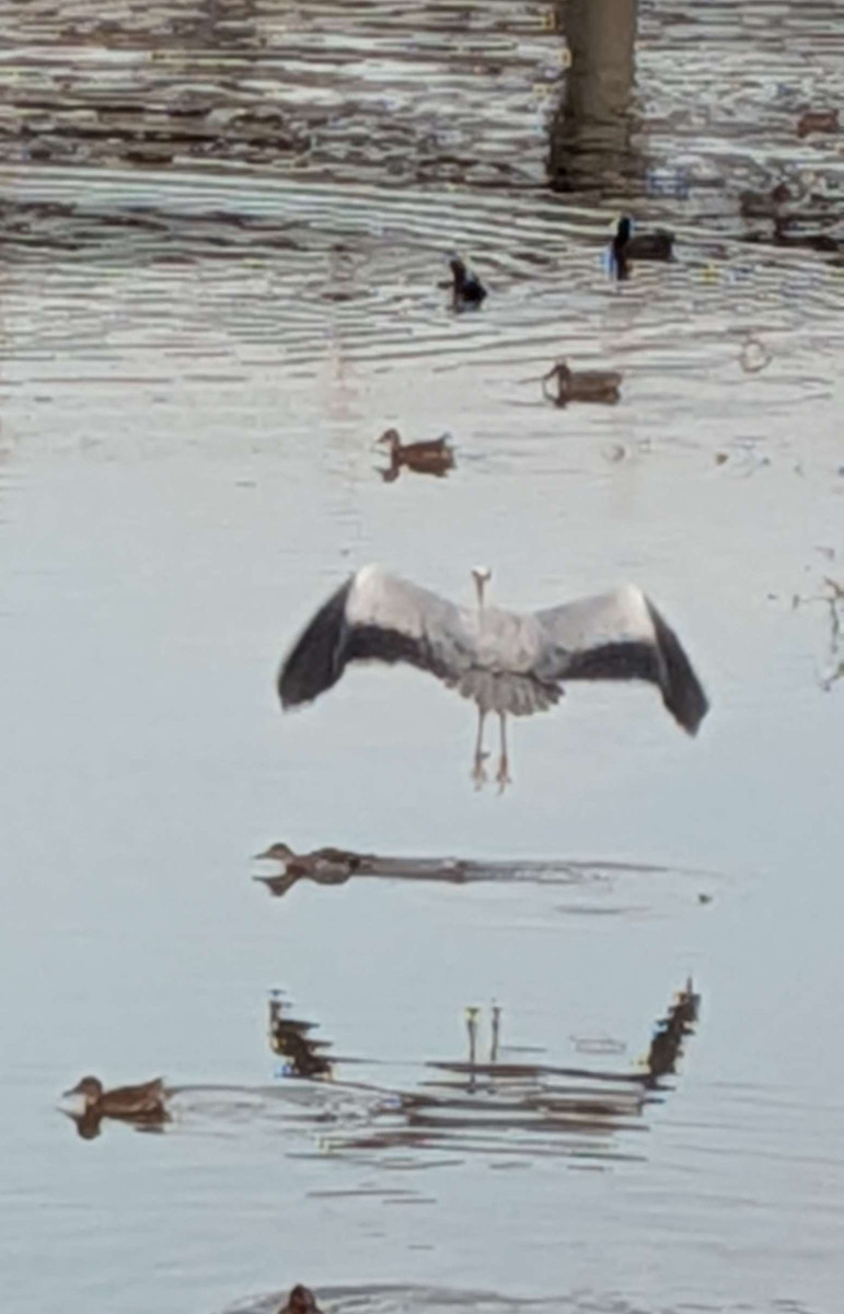 Pxl_20251220_072234112