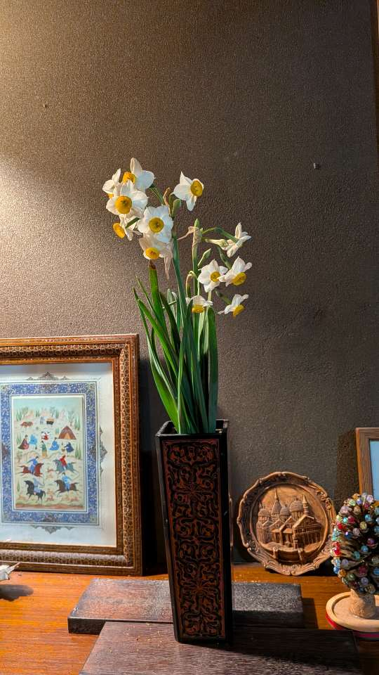 Pxl_20251221_112828284mp