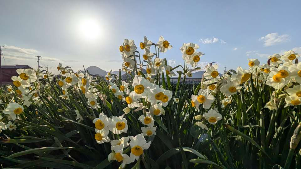 Pxl_20260113_061730375