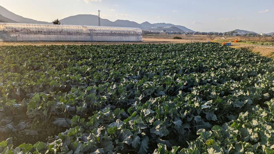 Pxl_20260113_065407997