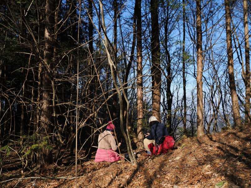 1768649888405 1768649888405