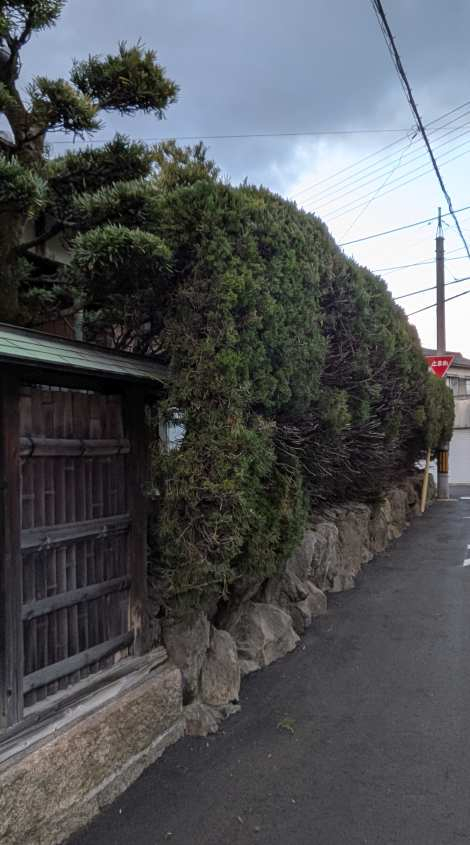 Pxl_20260130_080603082macro_focus