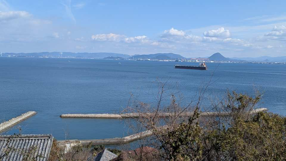 Pxl_20260131_040755046 Pxl_20260131_040755046