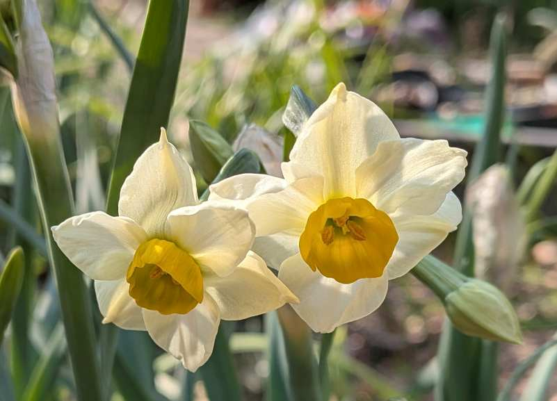 Pxl_20260202_014653019