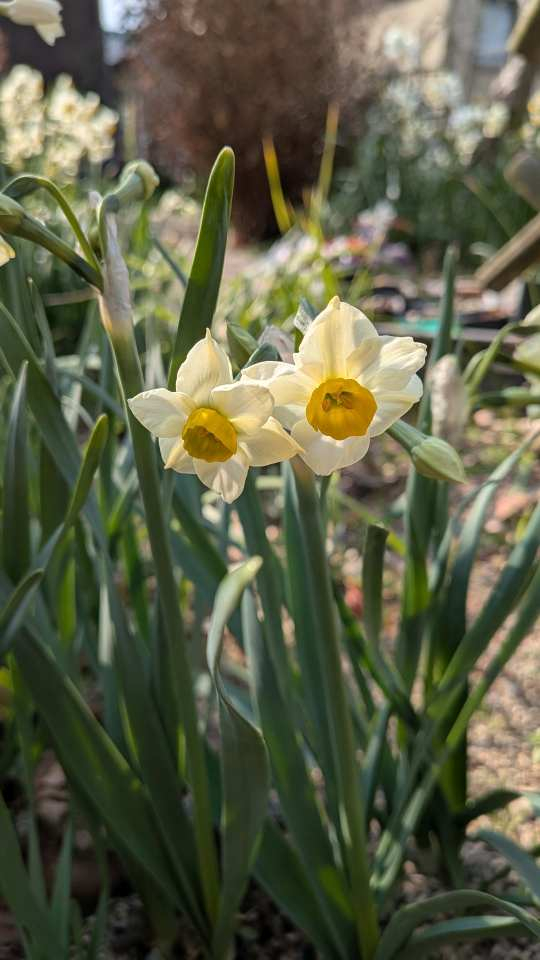 Pxl_20260202_014653019_2