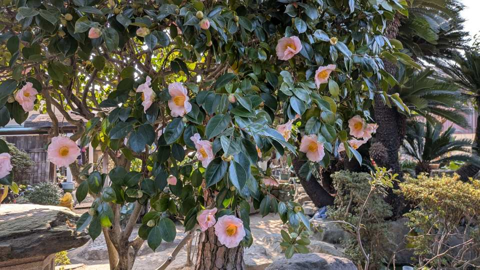 Pxl_20260202_020059493