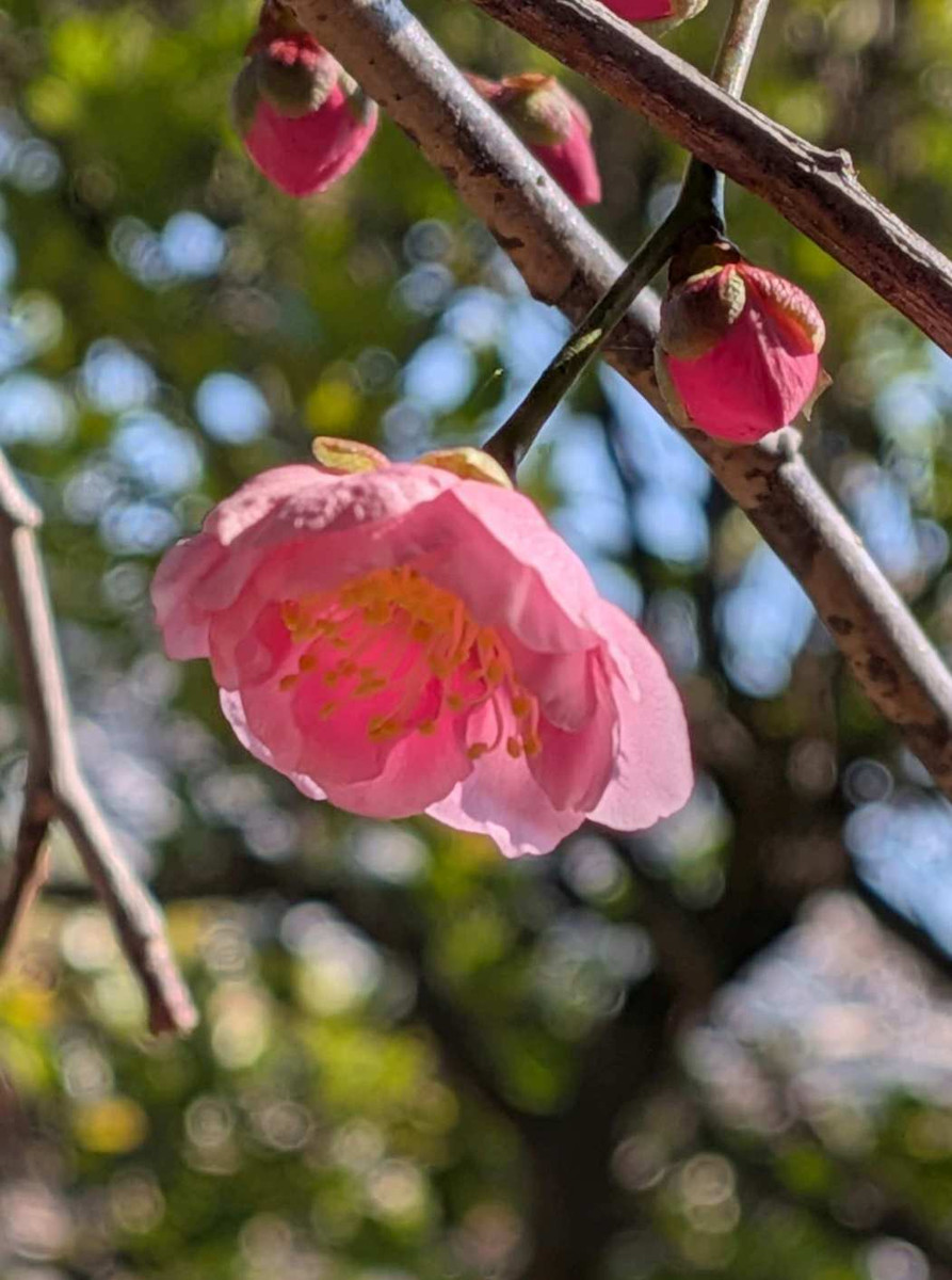 Pxl_20260206_025756903